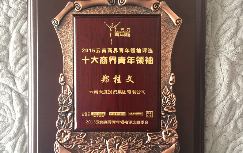 在&ldquo;互聯(lián)網(wǎng)大時(shí)代&rdquo;的背景下，天度作為本土很大和很有名的互聯(lián)網(wǎng)服務(wù)企業(yè)，為近萬家傳統(tǒng)企業(yè)轉(zhuǎn)型互聯(lián)網(wǎng)+提供了服務(wù)和幫助，獲此獎(jiǎng)項(xiàng)后，我們將再接再厲，創(chuàng)造更高的社會(huì)價(jià)值